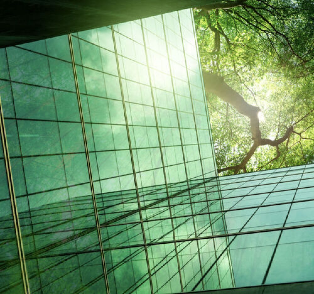 imageedit_14_5212021498